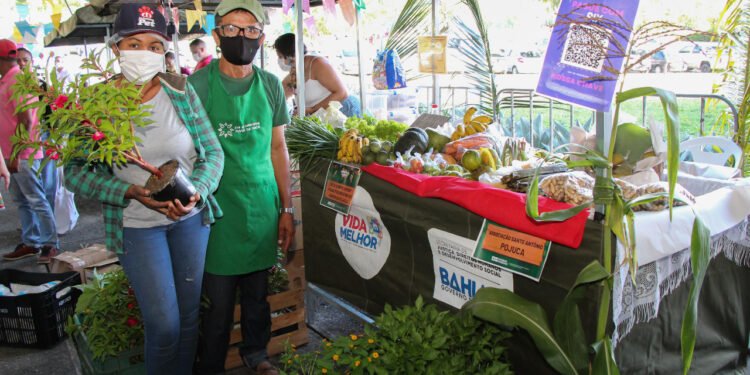 Feira Junina na SJDHDS movimenta e fortalece a agricultura familiar da Bahia