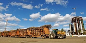 Agronegócio representa 24% da economia baiana