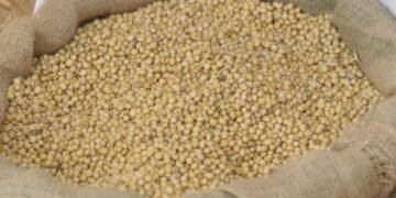 Operação Veredas do Oeste, da Sefaz-BA, apreende 13 carretas com soja sem documentação fiscal