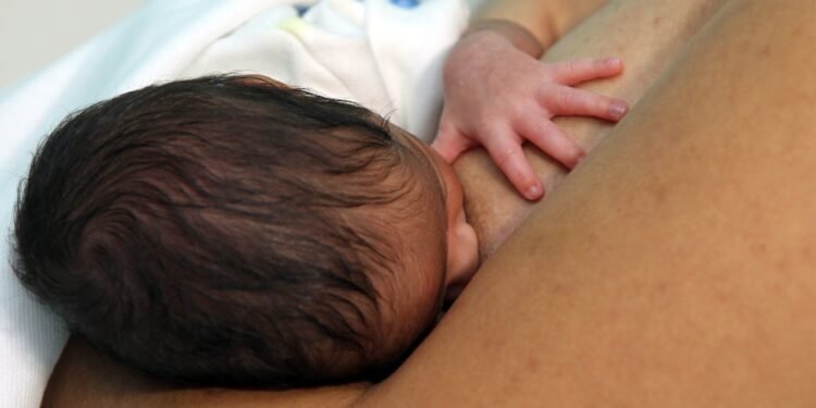 Com equipe multidisciplinar, Maternidade Frei Justo realiza acompanhamento de mães e bebês para incentivar amamentação segura