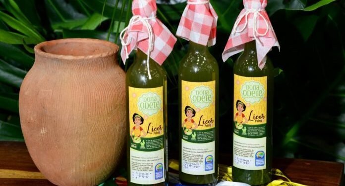 Associação do sertão baiano lança licor de palma