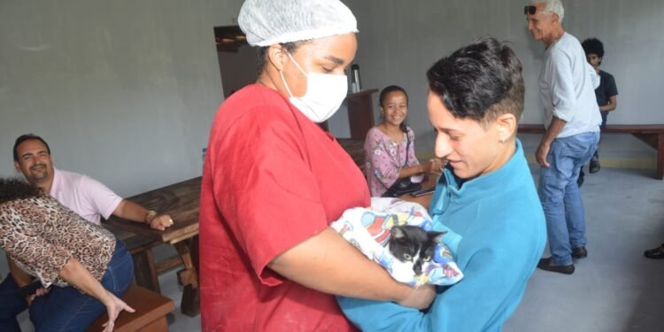 Prefeitura de Itanagra implanta Centro de Zoonoses e inicia o Projeto Castrar em cães e gatos