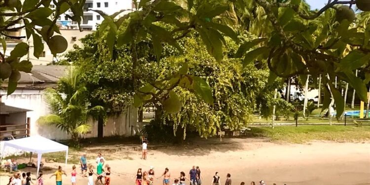 Ilhéus ganha novo clube de canoa polinésia