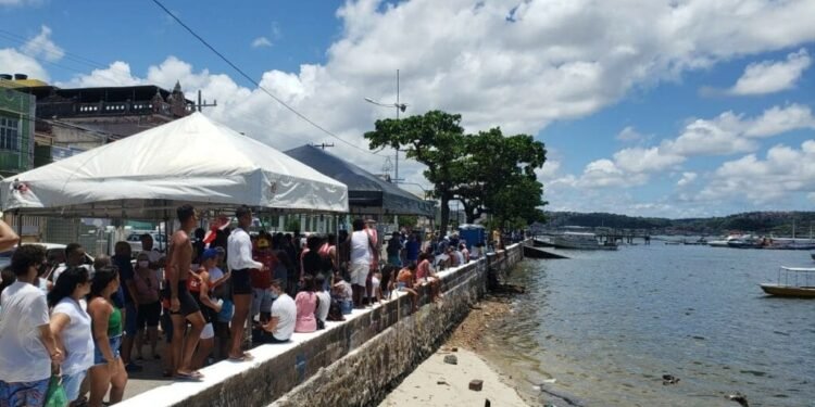 Competição de remo acontece neste fim de semana em Salvador