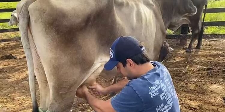 Tiago Correia pede votação urgente para projeto que incentiva a pecuária leiteira