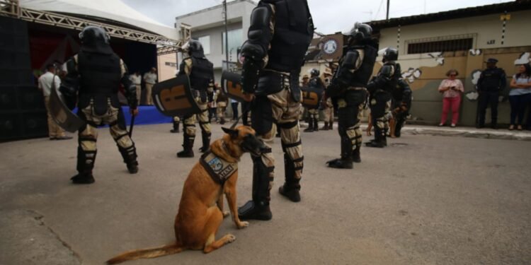 Base Avançada da Cipe Cacaueira em Valença reforça combate ao crime organizado no Baixo Sul da Bahia