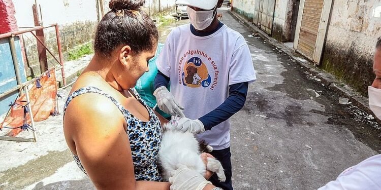 Campanha de vacinação antirrábica entra na última semana de mobilização em Salvador