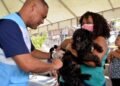 Vacinação antirrábica segue em quatro shoppings de Salvador neste fim de semana