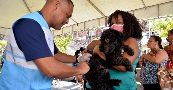 Vacinação antirrábica segue em quatro shoppings de Salvador neste fim de semana