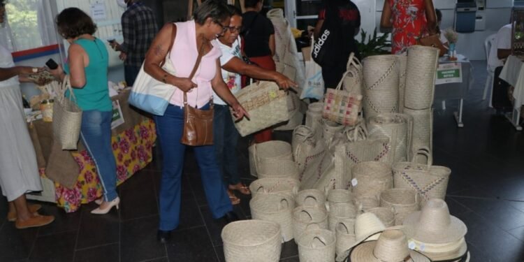 Público externo e servidores movimentam Feira Agroecológica no Centro Administrativo da Bahia