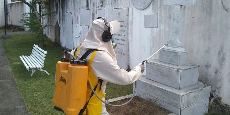 Prefeitura realiza inspeções em cemitérios de Salvador até esta sexta (21)