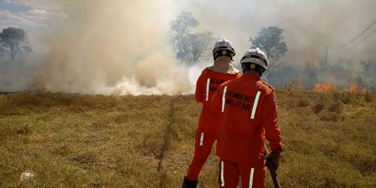 Região oeste tem reforço no combate de incêndios