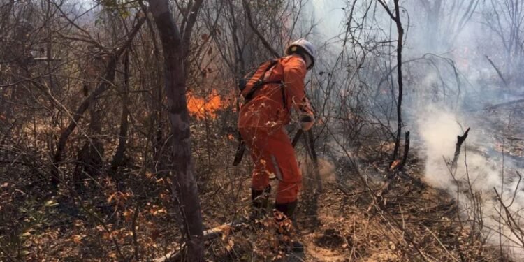 Bahia tem segundo maior número de focos de incêndio no Brasil em 48h