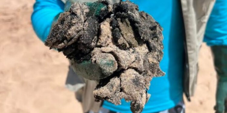 Quase 200 km de praia no Sul da Bahia são atingidos por óleo