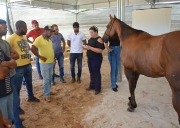 Começa a IIª Semana do Cavalo, em Itanagra