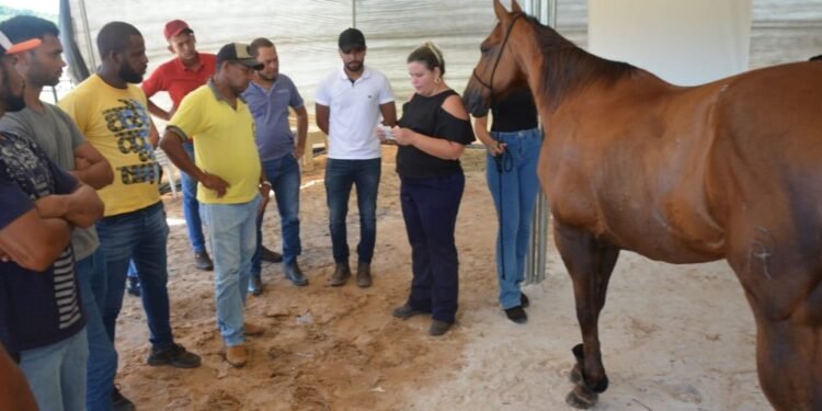 Começa a IIª Semana do Cavalo, em Itanagra