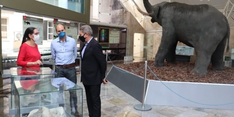 Museu Geológico da Bahia reabre com nova identidade visual