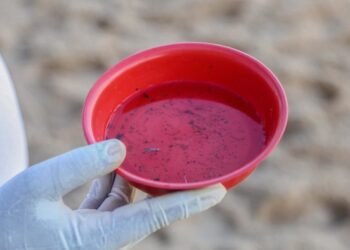 Prefeitura de Simões Filho reforça alerta à população sobre cuidados contra dengue