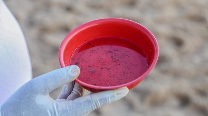 Prefeitura de Simões Filho reforça alerta à população sobre cuidados contra dengue