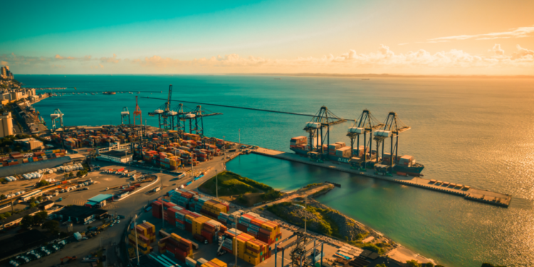 Tecon Salvador inicia exportação de carne bovina para a Rússia