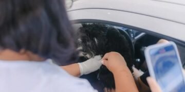 Prefeitura promove vacinação animal antirrábica; Confira cronograma