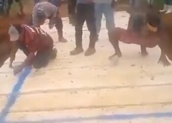 Moradores reconstroem ponte e acusam prefeito de recusar obra