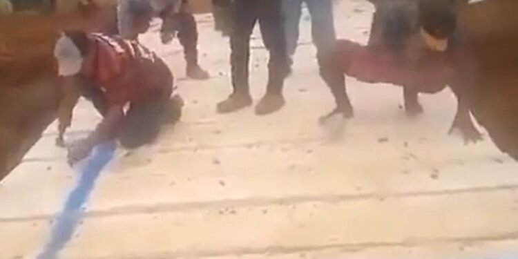 Moradores reconstroem ponte e acusam prefeito de recusar obra