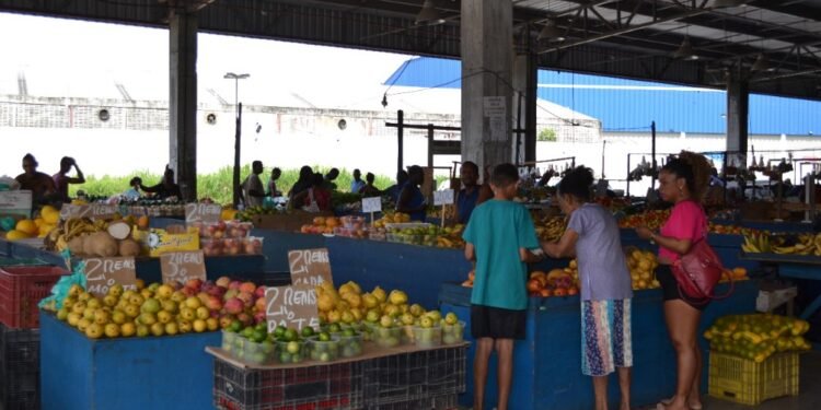 Ceasa e Mercados do Estado adotam horário de funcionamento especial no período de fim de ano