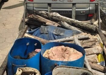 Noventa quilos de carne de abatedouros clandestinos são apreendidos