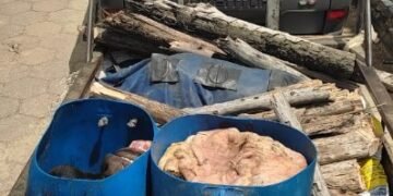 Noventa quilos de carne de abatedouros clandestinos são apreendidos