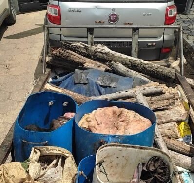 Noventa quilos de carne de abatedouros clandestinos são apreendidos