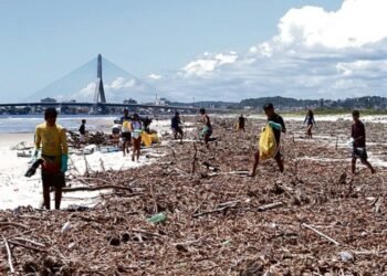 Justiça decide que Itabuna deve cuidar do descarte de baronesas que poluem Ilhéus