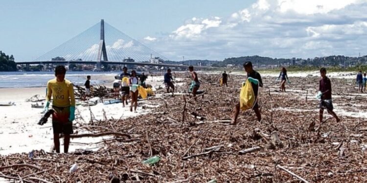Justiça decide que Itabuna deve cuidar do descarte de baronesas que poluem Ilhéus