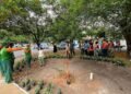 Primeiro jardim de chuva em espaço público é implantado em Salvador