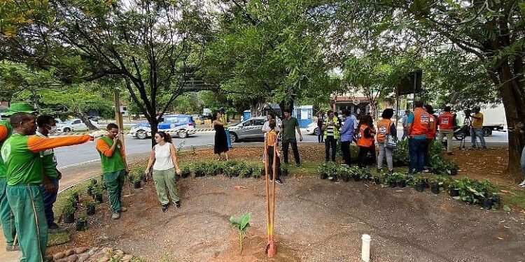 Primeiro jardim de chuva em espaço público é implantado em Salvador