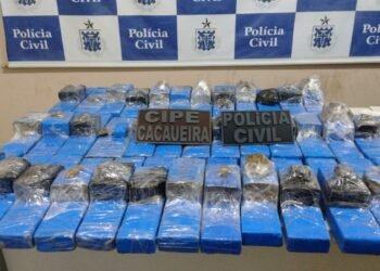 Denúncia auxilia PC e PM na apreensão de 40 kg de maconha