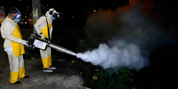 “Verão Sem Mosquito”: Prefeitura realiza combate a muriçocas em bairros de Salvador