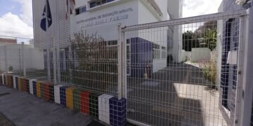 Escolas, posto de saúde e pontos comerciais seguem fechados após tiroteios na Palestina