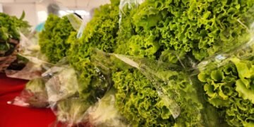 Alimentação saudável garante energia para brincar o Carnaval com segurança