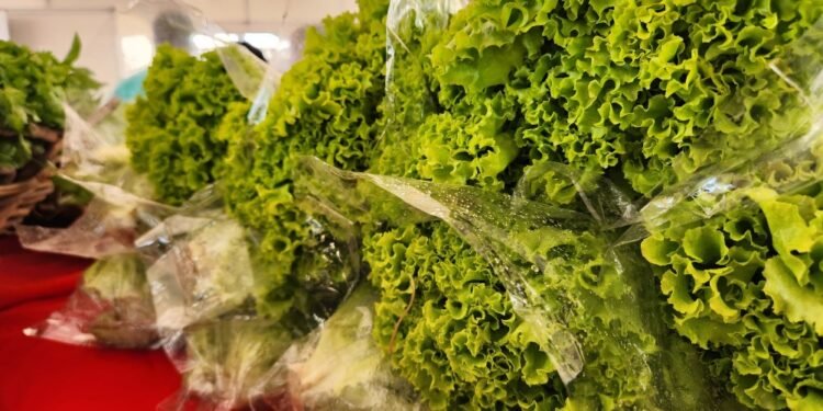 Alimentação saudável garante energia para brincar o Carnaval com segurança