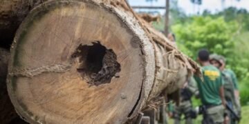 Agência diz que EUA avaliam fazer doação para Fundo Amazônia