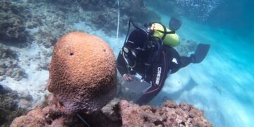 Projeto Mares realiza seminário para apresentação do Curso Livre de Restauração de Coral