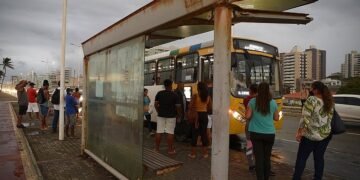 Pontos de ônibus de Salvador terão novas estruturas