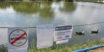 Lagoa em Feira é interditada após bactéria que causa cólera ser identificada na água