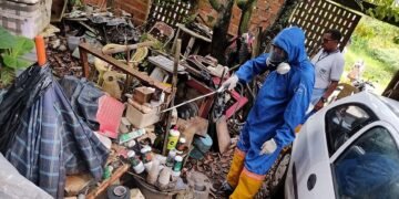 Casos de dengue grave neste ano já são mais da metade de 2022