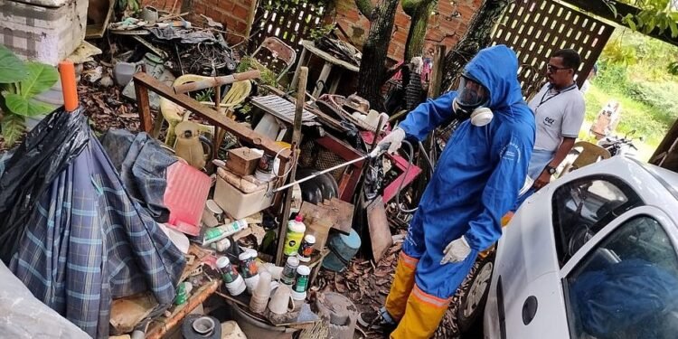 Casos de dengue grave neste ano já são mais da metade de 2022