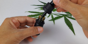 Prefeito sanciona lei que libera cannabis medicinal no SUS em Salvador