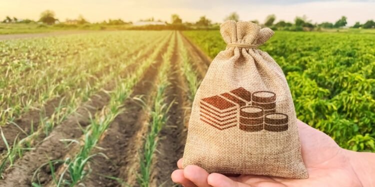 Conexão Contábil Bahia discute agronegócio e previdência rural em Juazeiro