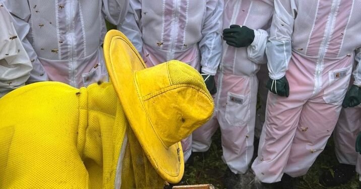 Bombeiros do 8º GBM se especializam em Captura e Transporte de Enxames de Abelhas