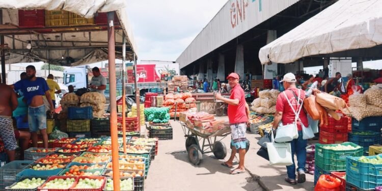 Ceasa: meio século de história na Bahia